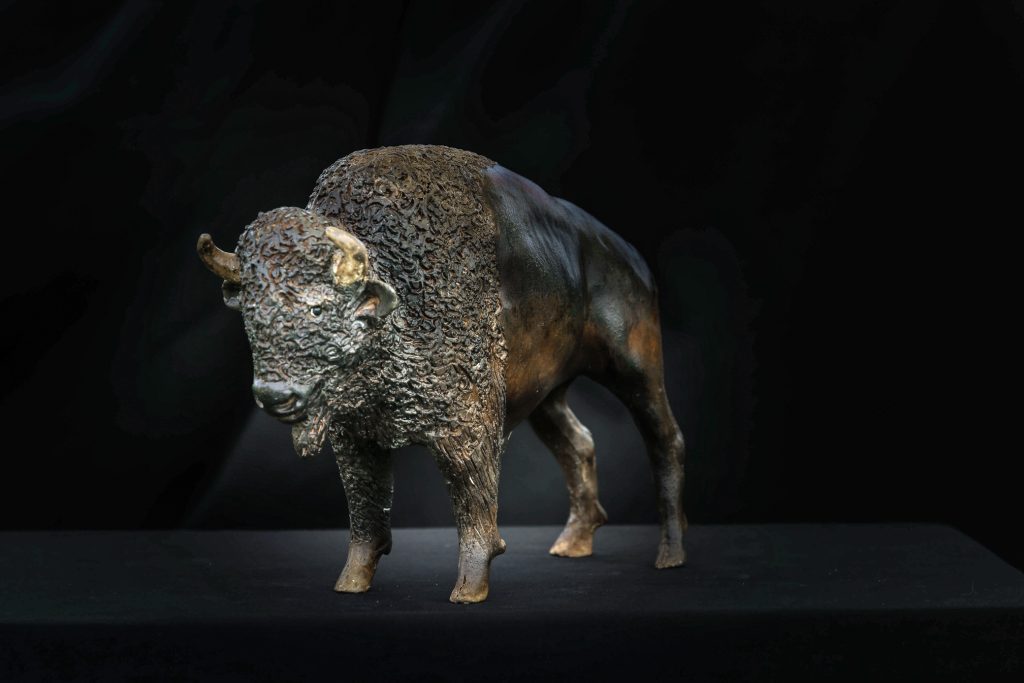 BISON