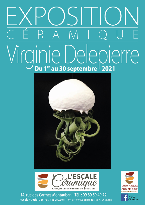 Affiche exposition Delepierre